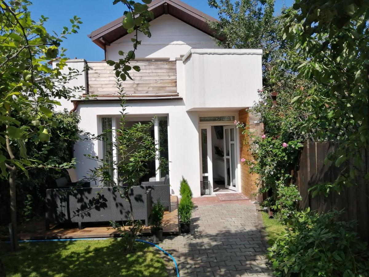 Casa Scheiana Bed & Breakfast Braşov Dış mekan fotoğraf