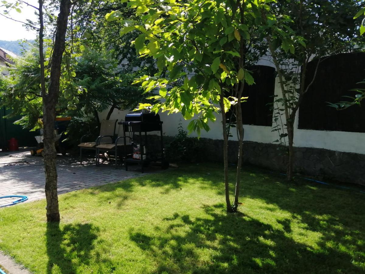 Casa Scheiana Bed & Breakfast Braşov Dış mekan fotoğraf