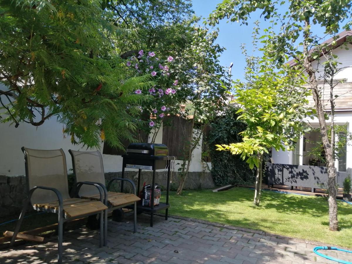 Casa Scheiana Bed & Breakfast Braşov Dış mekan fotoğraf