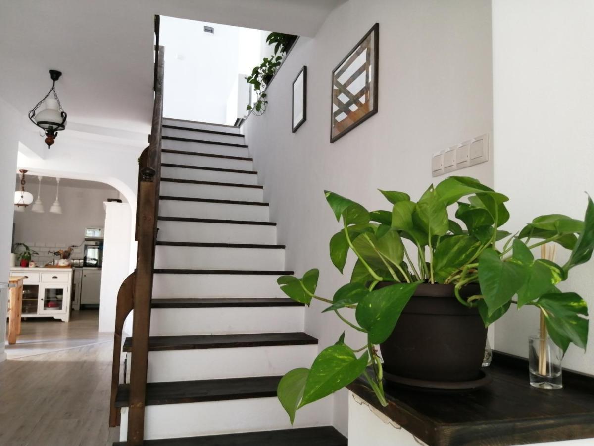 Casa Scheiana Bed & Breakfast Braşov Dış mekan fotoğraf