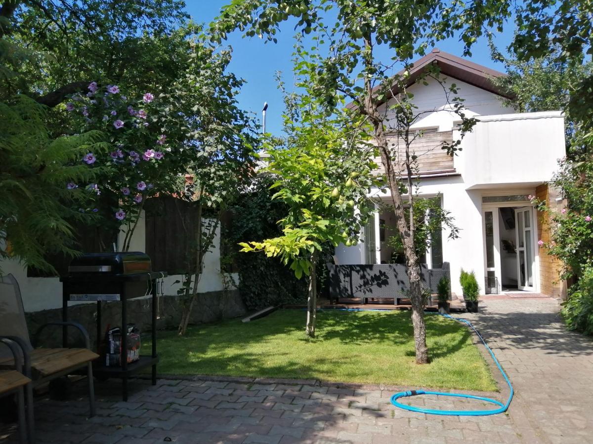 Casa Scheiana Bed & Breakfast Braşov Dış mekan fotoğraf