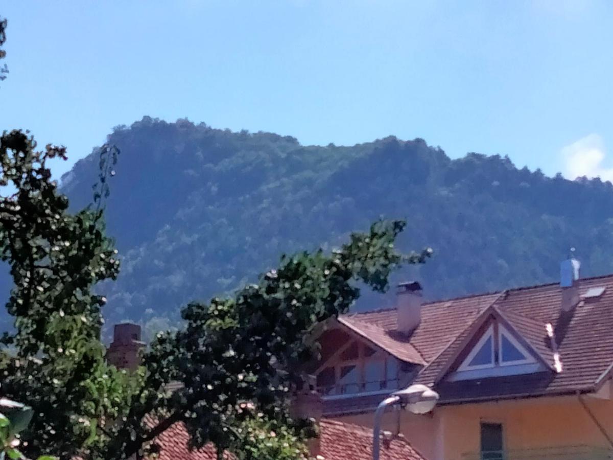 Casa Scheiana Bed & Breakfast Braşov Dış mekan fotoğraf
