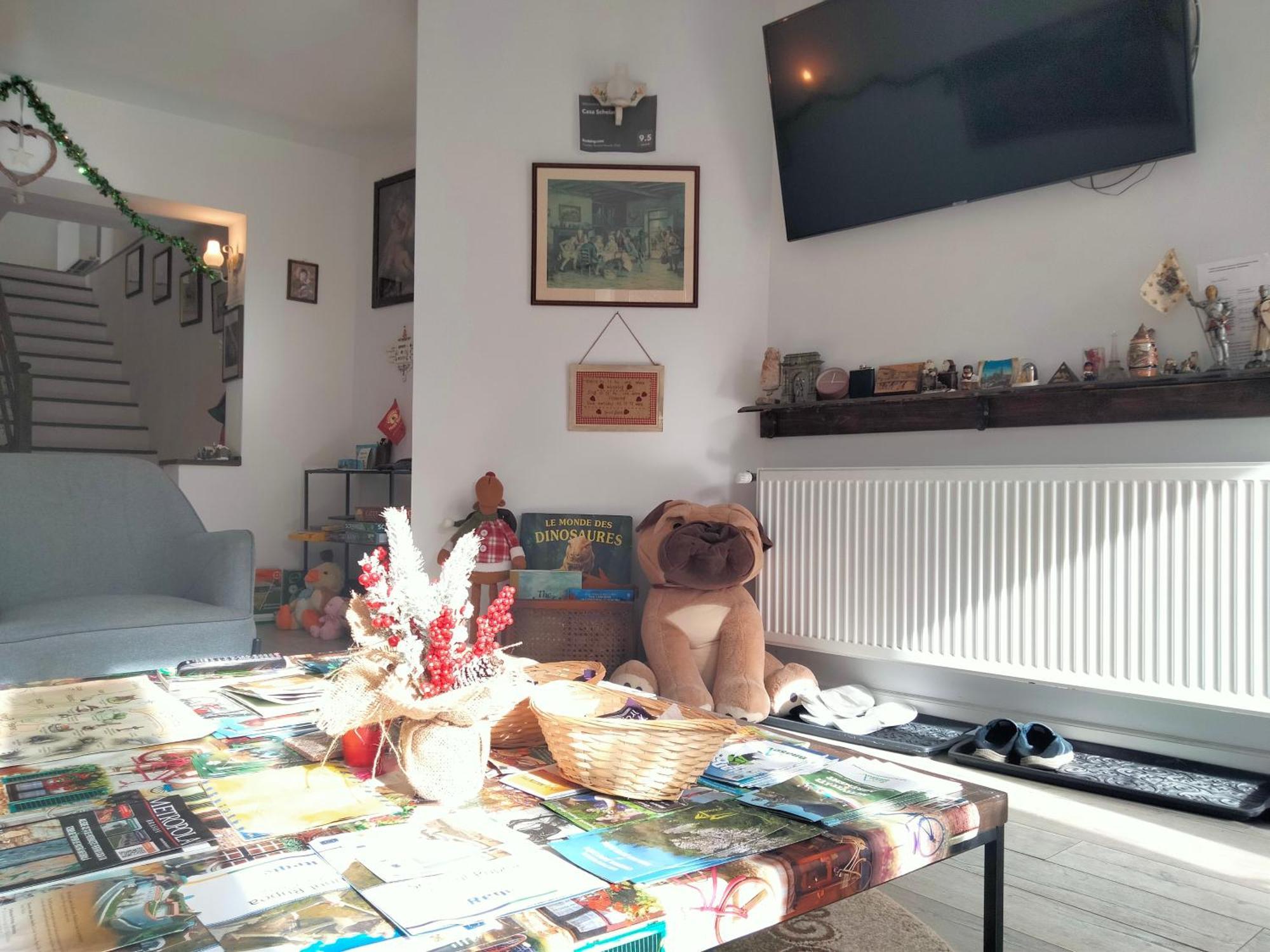 Casa Scheiana Bed & Breakfast Braşov Dış mekan fotoğraf